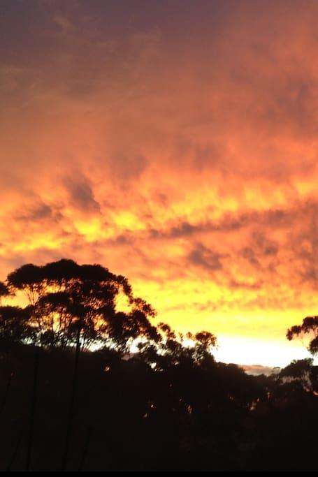 Avoca Beach And Bush Exterior foto
