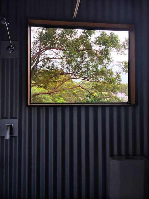 Avoca Beach And Bush Exterior foto