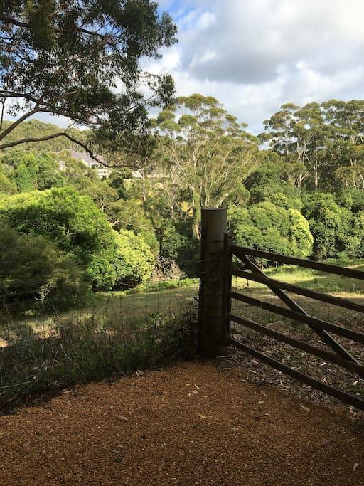 Avoca Beach And Bush Exterior foto